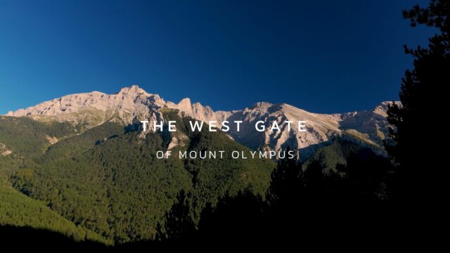 Ένα μοναδικό ταξίδι ξεκινά από τις πλαγιές του θεσσαλικού Ολύμπου μέχρι τους ιστορικούς οικισμούς της Ελασσόνας...
Βυζαντινά μνημεία, πετρόχτιστα μοναστήρια, παραδοσιακά χωριά και διαδρομές στη φύση ζωντανεύουν σε ένα βίντεο αφιερωμένο στην καρδιά της Θεσσαλίας.

A unique journey begins on the slopes of the Thessalian Mount Olympus and leads to the historic settlements of Elassona.
Byzantine monuments, stone-built monasteries, traditional villages, and scenic nature routes come to life in a video dedicated to the culture and the unique landscapes of the region.

www.visitelassona.gr
#visitelassona #visitgreece #themountolympus #thessaly 

Video by: @gianniszarzonis